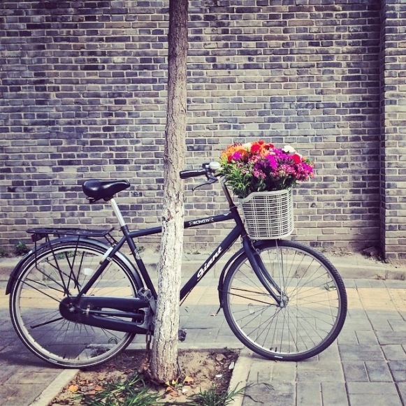 Ai Weiwei Bicycle Flowers