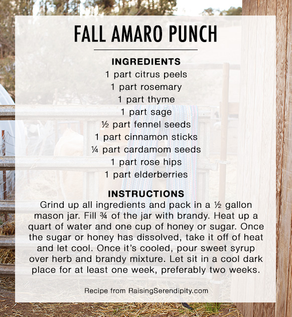 Fall Amaro Punch Recipe Thanksgiving