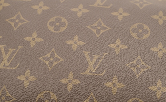 Louis Vuitton Monogram On A Speedy Bag